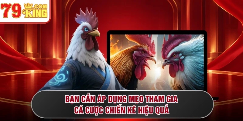 Bạn cần áp dụng mẹo tham gia cá cược chiến kê hiệu quả