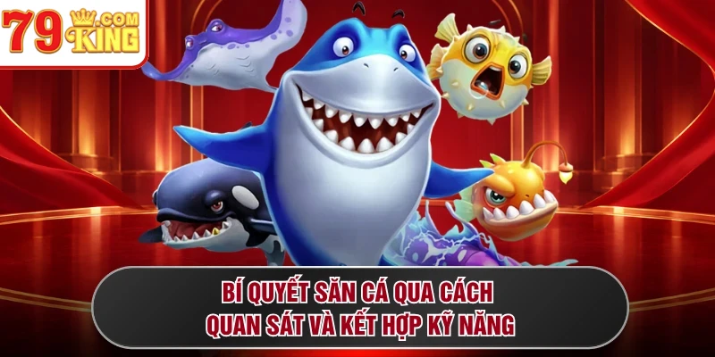 Bí quyết săn cá qua cách quan sát và kết hợp kỹ năng