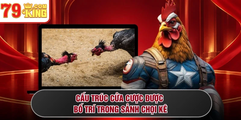 Cấu trúc cửa cược được bố trí trong sảnh chọi kê 