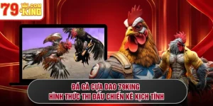 Đá Gà Cựa Dao 79KING - Hình Thức Thi Đấu Chiến Kê Kịch Tính