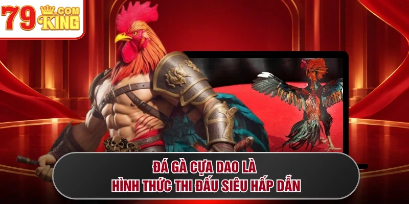 Đá gà cựa dao là hình thức thi đấu siêu hấp dẫn