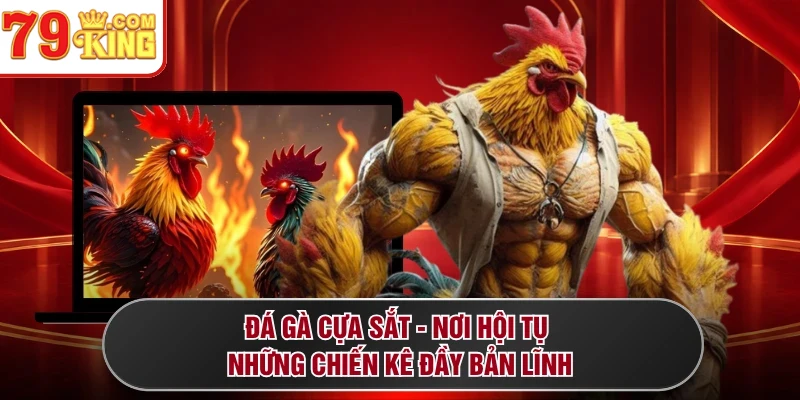 Đá Gà Cựa Sắt - Nơi Hội Tụ Những Chiến Kê Đầy Bản Lĩnh