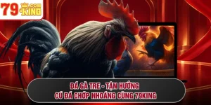 Đá Gà Tre - Tận Hưởng Cú Đá Chớp Nhoáng Cùng 79KING