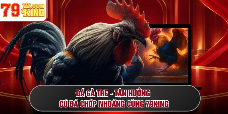 Đá Gà Tre - Tận Hưởng Cú Đá Chớp Nhoáng Cùng 79KING