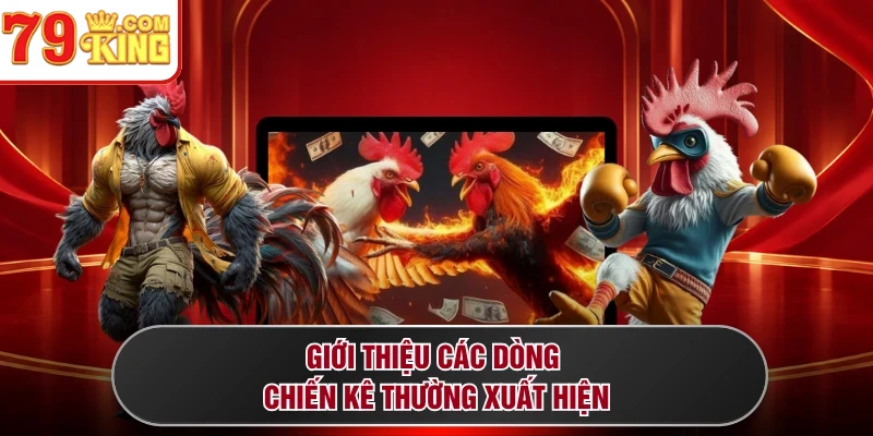Giới thiệu các dòng chiến kê thường xuất hiện