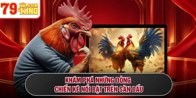 Khám phá những dòng chiến kê nổi bật trên sàn đấu