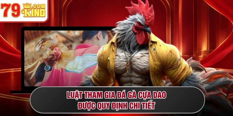Luật tham gia đá gà cựa dao được quy định chi tiết