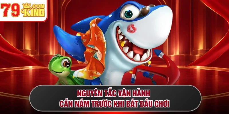 Nguyên tắc vận hành cần nắm trước khi bắt đầu chơi 
