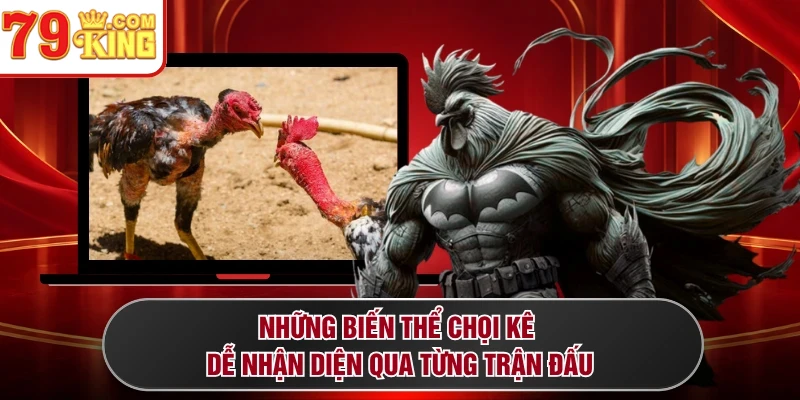 Những biến thể chọi kê dễ nhận diện qua từng trận đấu