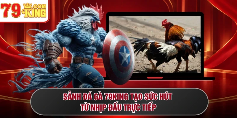 Sảnh đá gà 79KING tạo sức hút từ nhịp đấu trực tiếp