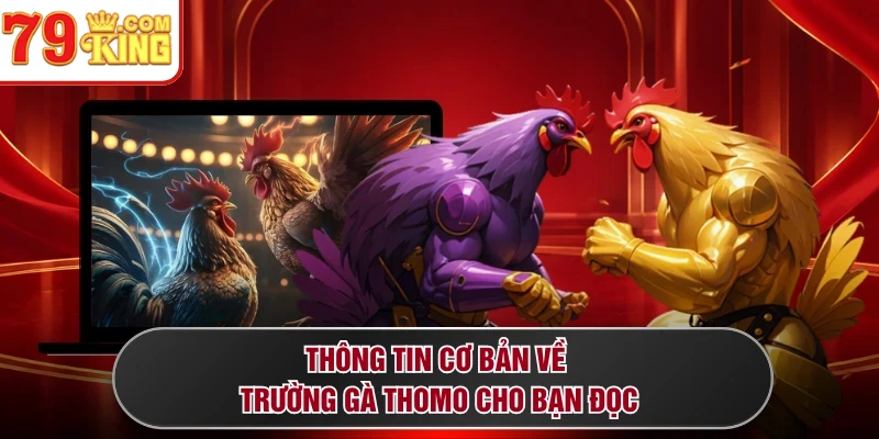 Thông tin cơ bản về trường gà Thomo cho bạn đọc