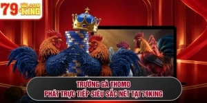 Trường Gà Thomo - Phát Trực Tiếp Siêu Sắc Nét Tại 79KING